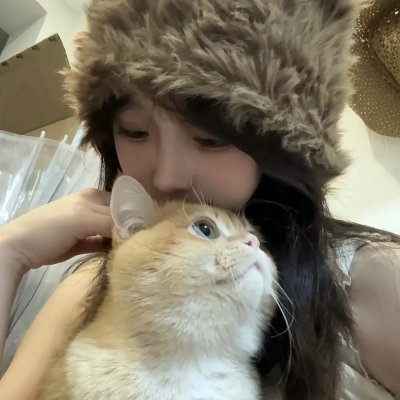 海象海象不要哭 在线观看